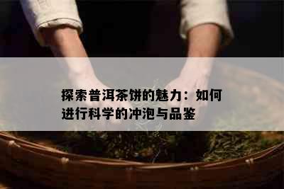 探索普洱茶饼的魅力：如何进行科学的冲泡与品鉴