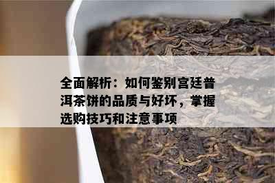 全面解析：如何鉴别宫廷普洱茶饼的品质与好坏，掌握选购技巧和注意事项