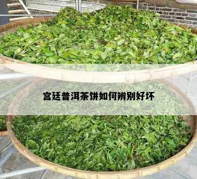 宫廷普洱茶饼如何辨别好坏