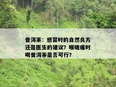 普洱茶：感冒时的自然良方还是医生的建议？喉咙痛时喝普洱茶是否可行？