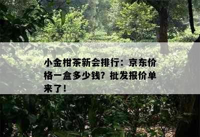 小金柑茶新会排行：京东价格一盒多少钱？批发报价单来了！