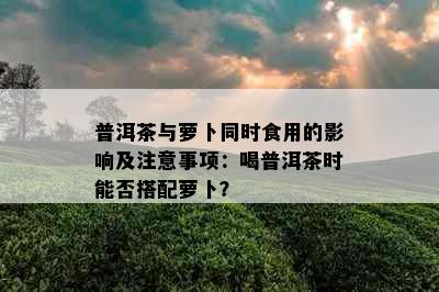 普洱茶与萝卜同时食用的影响及注意事项：喝普洱茶时能否搭配萝卜？