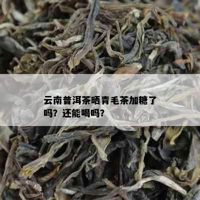 云南普洱茶晒青毛茶加糖了吗？还能喝吗？