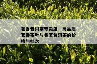 茗香普洱茶专卖店：高品质茗香茶叶与香茗普洱茶的价格与档次