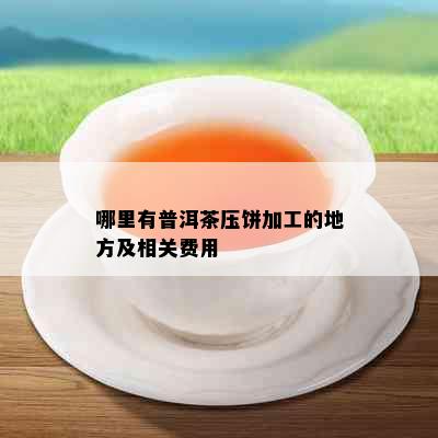 哪里有普洱茶压饼加工的地方及相关费用