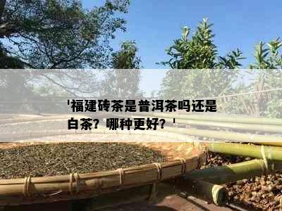 '福建砖茶是普洱茶吗还是白茶？哪种更好？'