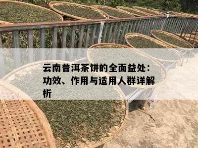 云南普洱茶饼的全面益处：功效、作用与适用人群详解析