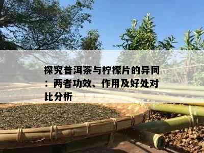 探究普洱茶与柠檬片的异同：两者功效、作用及好处对比分析