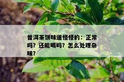 普洱茶饼味道怪怪的：正常吗？还能喝吗？怎么处理杂味？