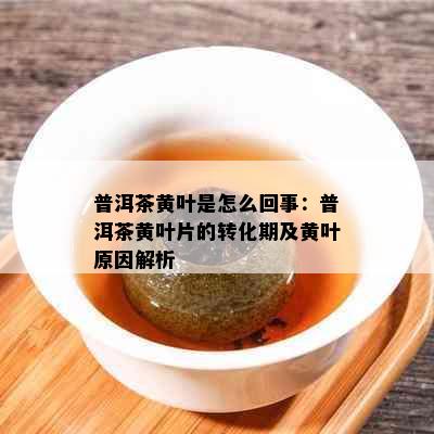 普洱茶黄叶是怎么回事：普洱茶黄叶片的转化期及黄叶原因解析