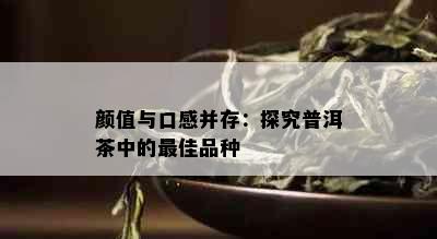 颜值与口感并存：探究普洱茶中的更佳品种