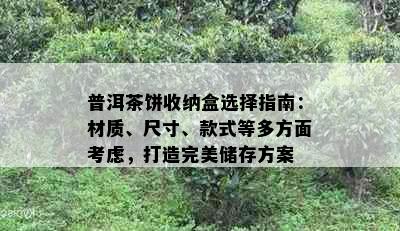 普洱茶饼收纳盒选择指南：材质、尺寸、款式等多方面考虑，打造完美储存方案