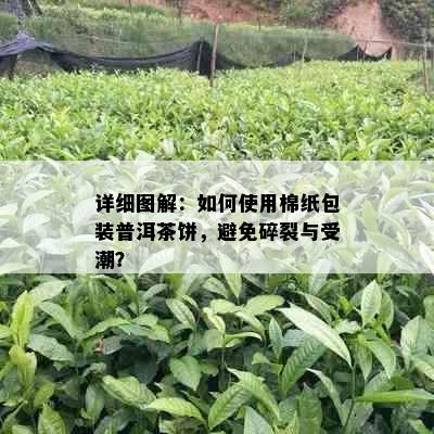 详细图解：如何使用棉纸包装普洱茶饼，避免碎裂与受潮？