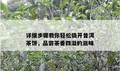 详细步骤教你轻松撬开普洱茶饼，品尝茶香四溢的滋味