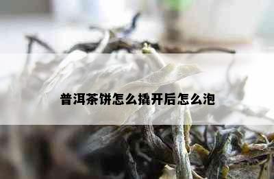 普洱茶饼怎么撬开后怎么泡