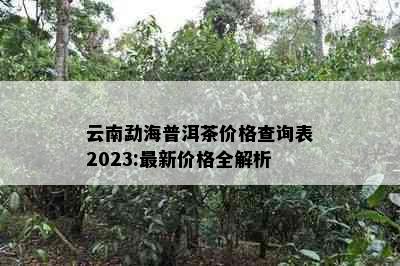 云南勐海普洱茶价格查询表2023:最新价格全解析