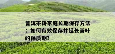 普洱茶饼家庭长期保存方法：如何有效保存并延长茶叶的保质期？