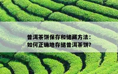 普洱茶饼保存和储藏方法：如何正确地存储普洱茶饼？