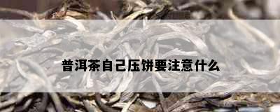 普洱茶自己压饼要注意什么