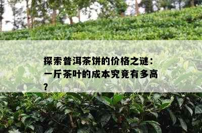 探索普洱茶饼的价格之谜：一斤茶叶的成本究竟有多高？