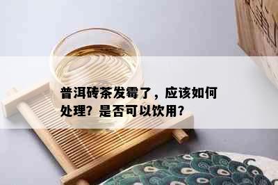 普洱砖茶发霉了，应该如何处理？是否可以饮用？