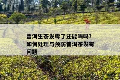 普洱生茶发霉了还能喝吗？如何处理与预防普洱茶发霉问题