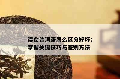 湿仓普洱茶怎么区分好坏：掌握关键技巧与鉴别方法