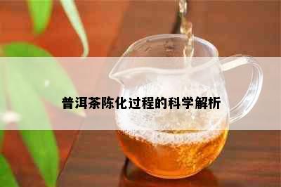 普洱茶陈化过程的科学解析