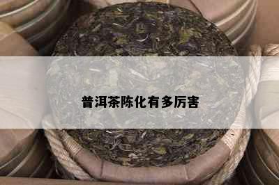 普洱茶陈化有多厉害