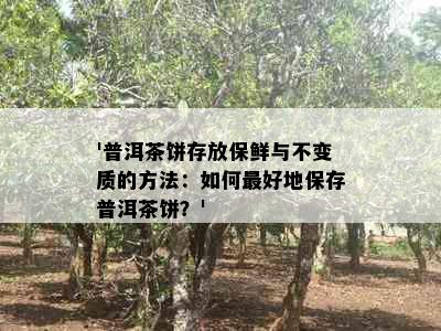 '普洱茶饼存放保鲜与不变质的方法：如何更好地保存普洱茶饼？'