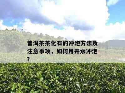 普洱茶茶化石的冲泡方法及注意事项，如何用开水冲泡？