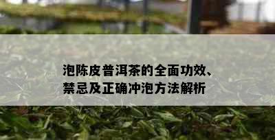 泡陈皮普洱茶的全面功效、禁忌及正确冲泡方法解析