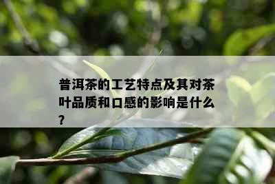 普洱茶的工艺特点及其对茶叶品质和口感的影响是什么？