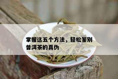 掌握这五个方法，轻松鉴别普洱茶的真伪