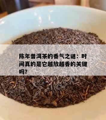 陈年普洱茶的香气之谜：时间真的是它越放越香的关键吗？