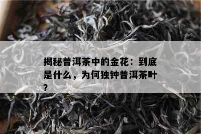 揭秘普洱茶中的金花：到底是什么，为何独钟普洱茶叶？