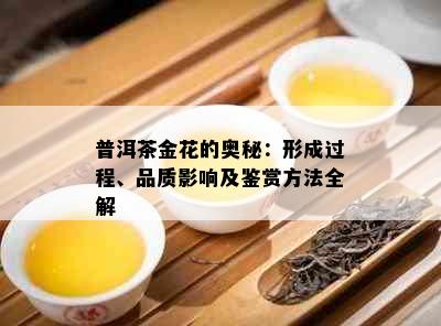 普洱茶金花的奥秘：形成过程、品质影响及鉴赏方法全解