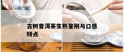 古树普洱茶生熟鉴别与口感特点