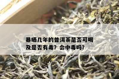 暴晒几年的普洱茶是否可喝及是否有？会中吗？