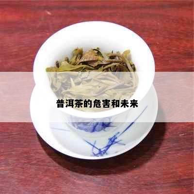 普洱茶的危害和未来