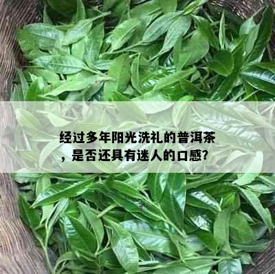 经过多年阳光洗礼的普洱茶，是否还具有迷人的口感？