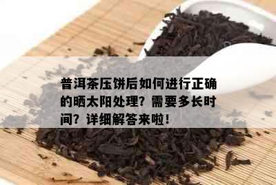 普洱茶压饼后如何进行正确的晒太阳处理？需要多长时间？详细解答来啦！