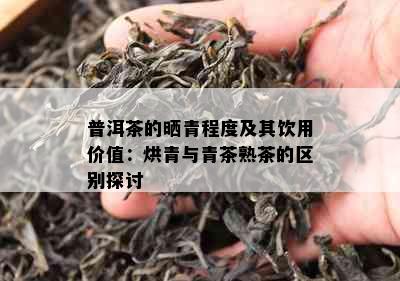 普洱茶的晒青程度及其饮用价值：烘青与青茶熟茶的区别探讨