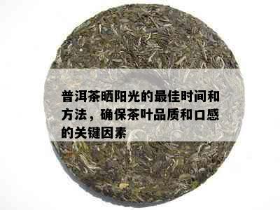 普洱茶晒阳光的更佳时间和方法，确保茶叶品质和口感的关键因素