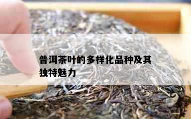 普洱茶叶的多样化品种及其独特魅力