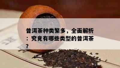 普洱茶种类繁多，全面解析：究竟有哪些类型的普洱茶？