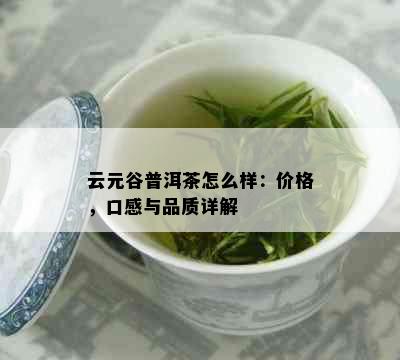 云元谷普洱茶怎么样：价格，口感与品质详解