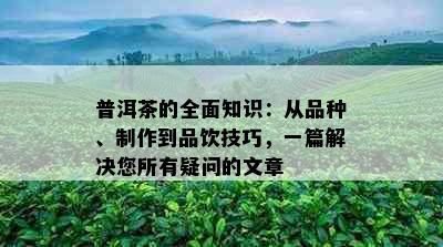 普洱茶的全面知识：从品种、制作到品饮技巧，一篇解决您所有疑问的文章