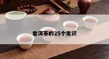 普洱茶的25个常识