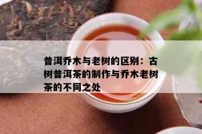 普洱乔木与老树的区别：古树普洱茶的制作与乔木老树茶的不同之处